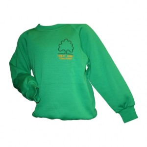 green sweat shirt